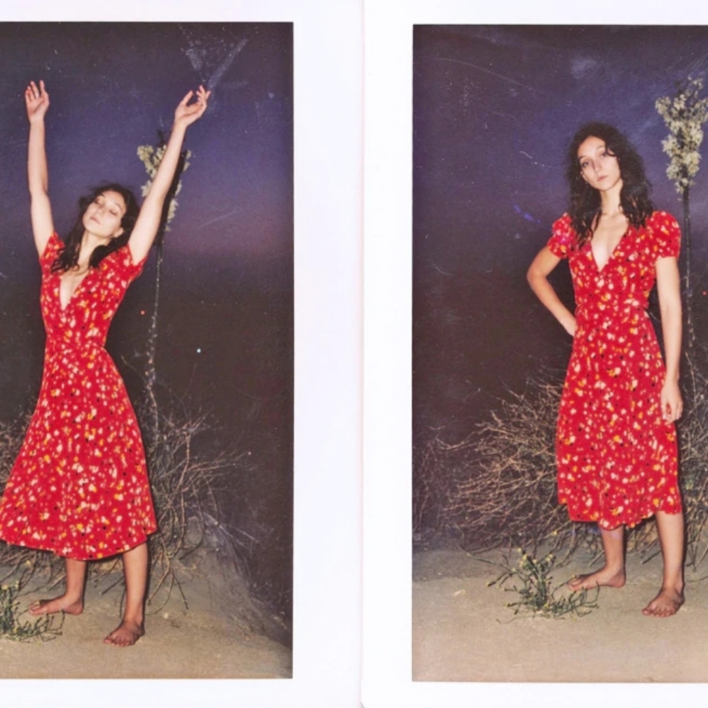NWOT Réalisation Teale Dress in Rouge Fleur